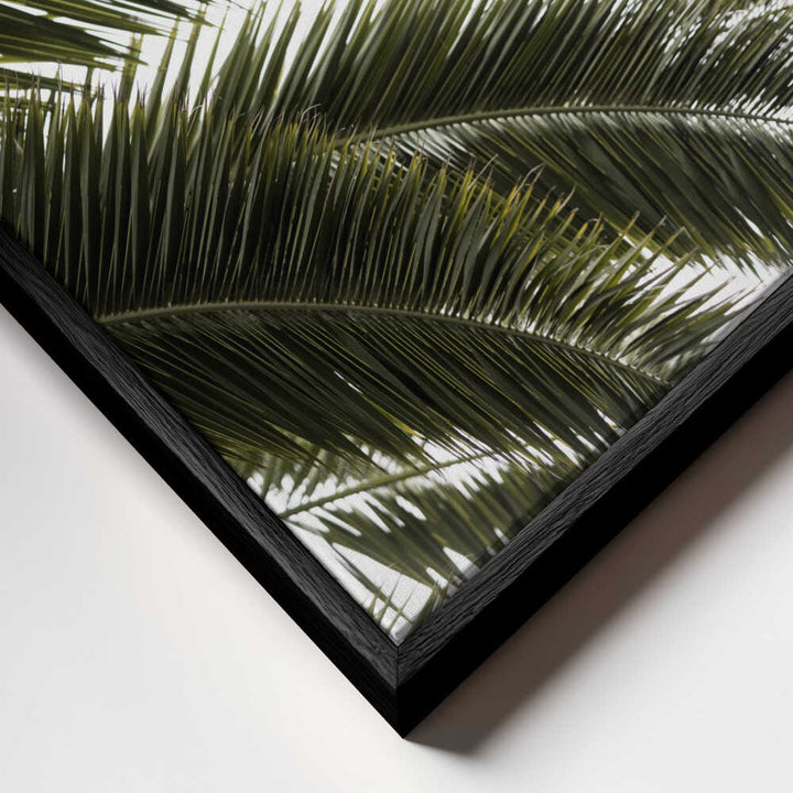 Tropical Green Palms