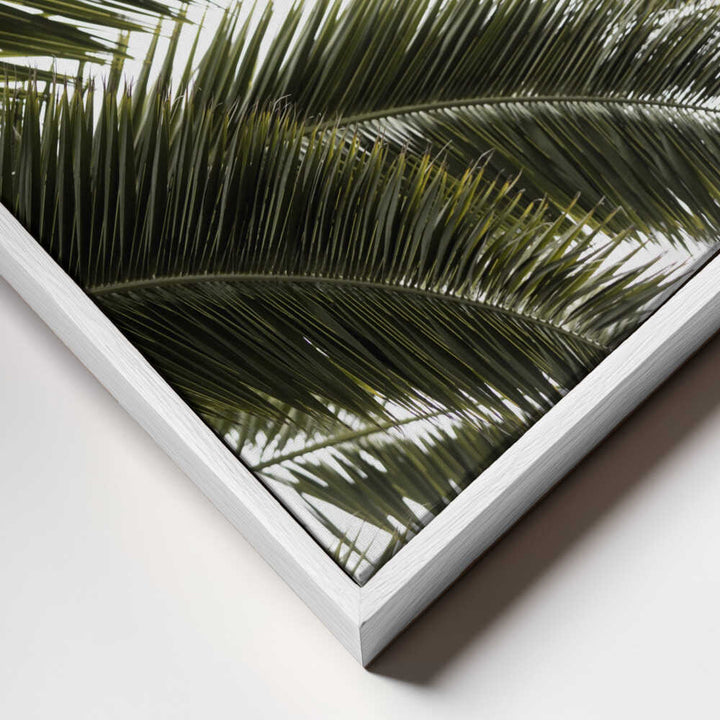 Tropical Green Palms