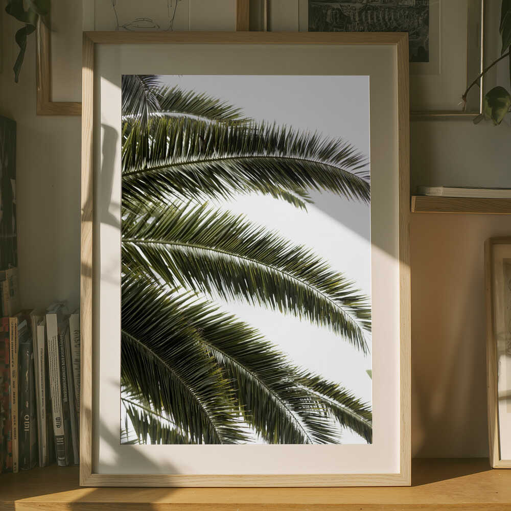 Tropical Green Palms