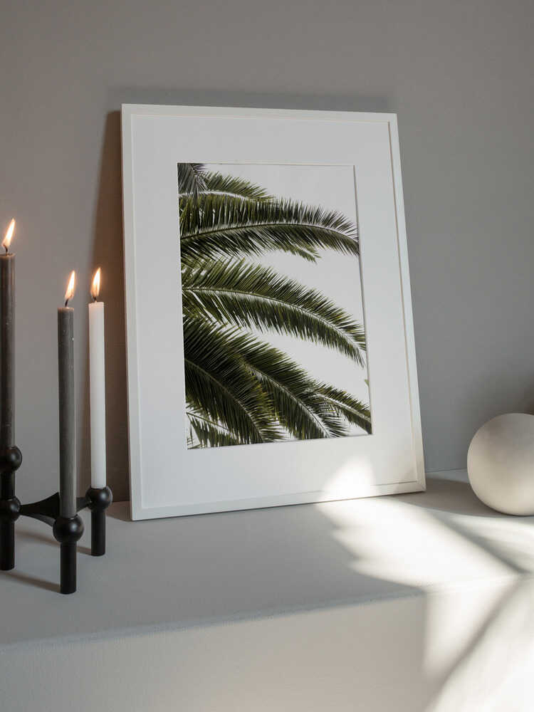 Tropical Green Palms