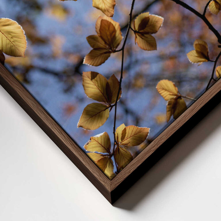 Golden Autumn Leaves