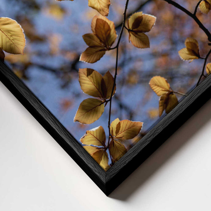 Golden Autumn Leaves