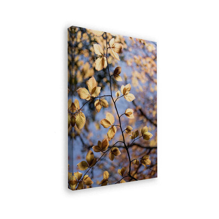 Golden Autumn Leaves