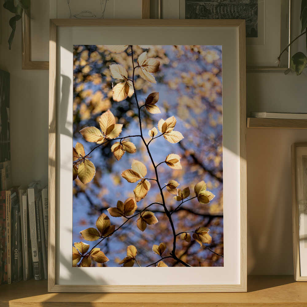 Golden Autumn Leaves