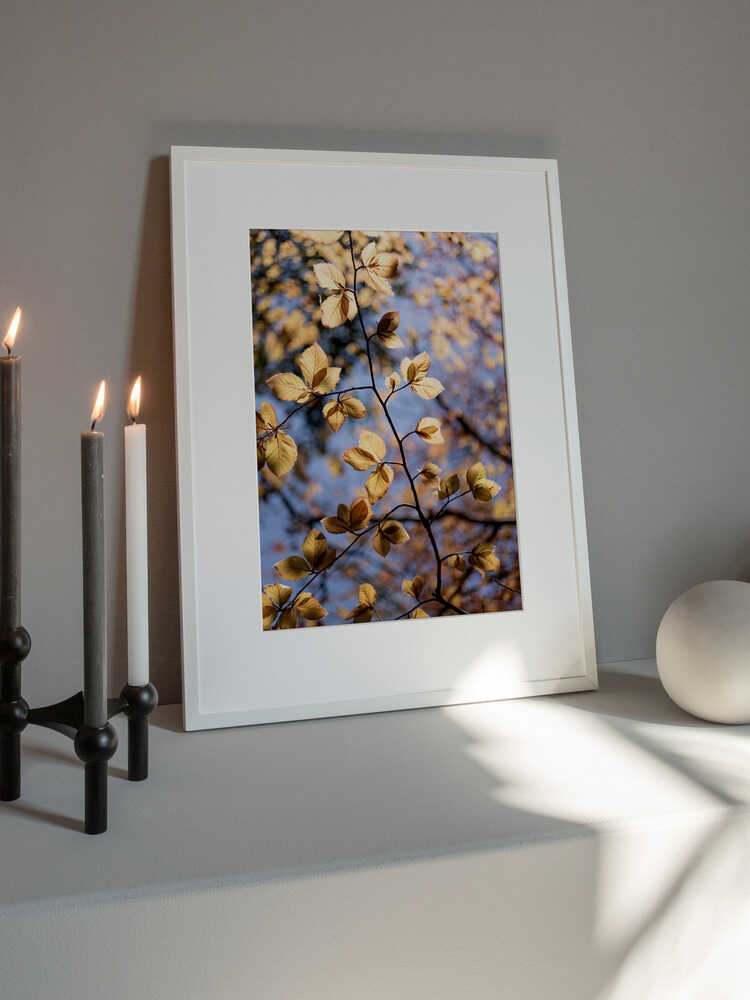 Golden Autumn Leaves