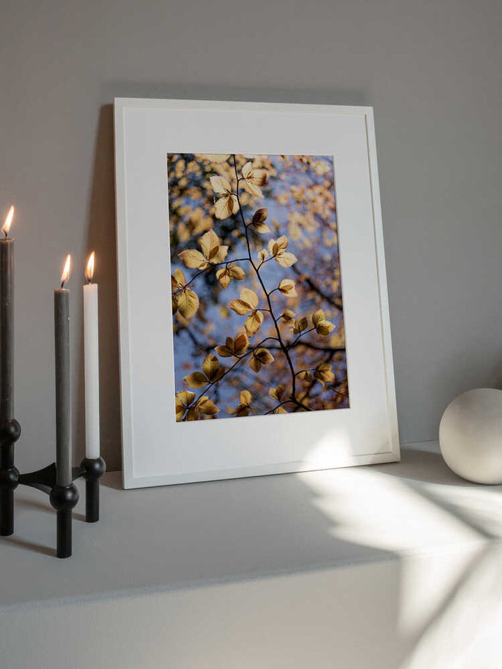 Golden Autumn Leaves