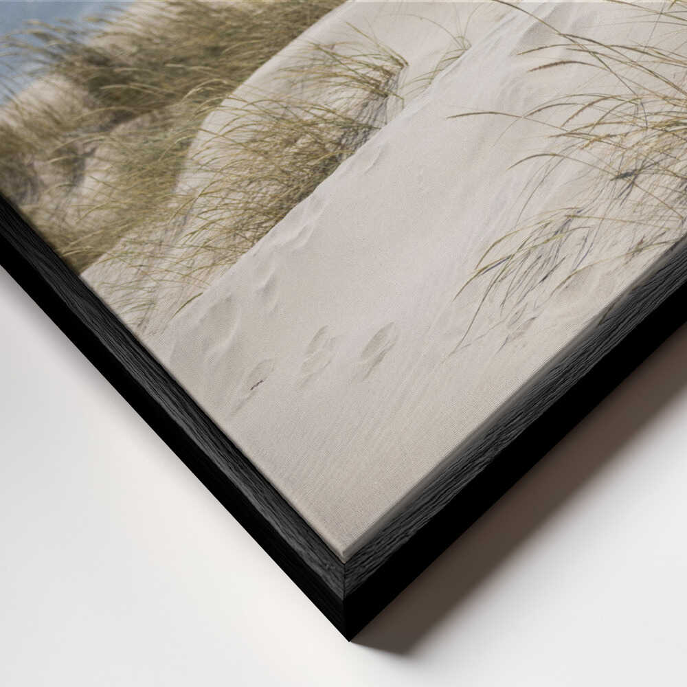 Serene Beach Dunes