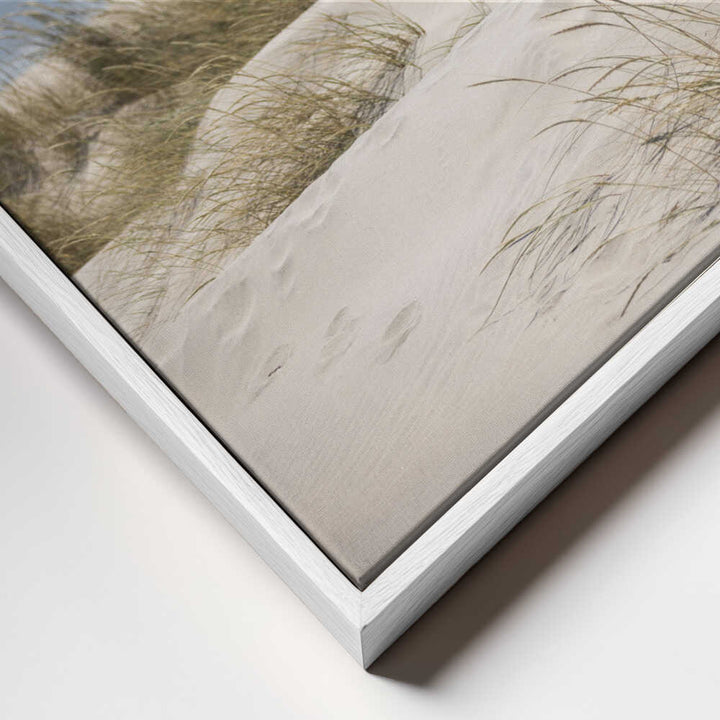 Serene Beach Dunes