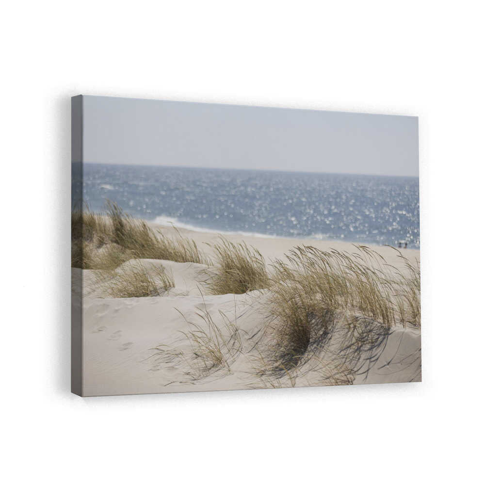 Serene Beach Dunes