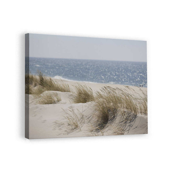 Serene Beach Dunes