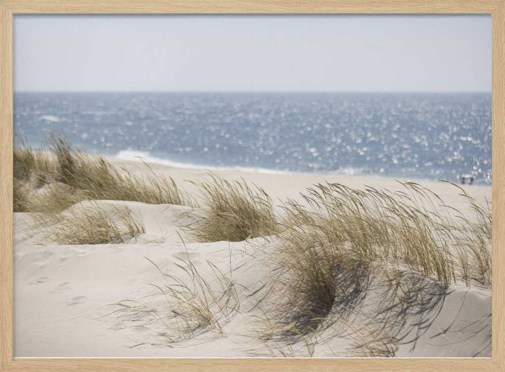 Serene Beach Dunes