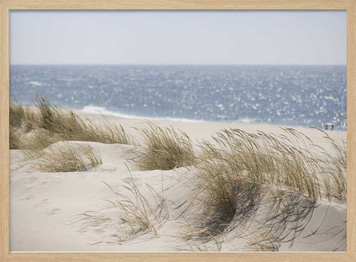 Serene Beach Dunes