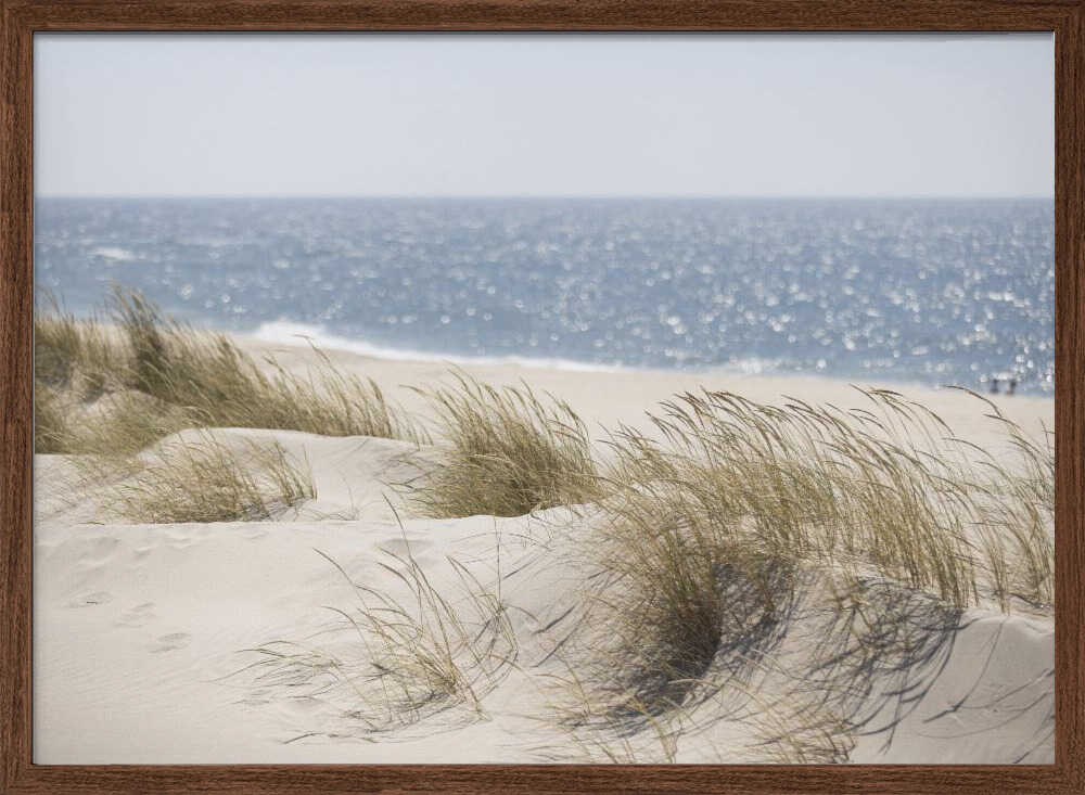Serene Beach Dunes