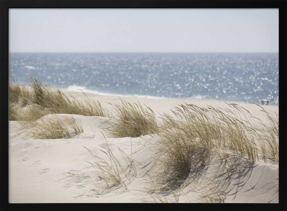 Serene Beach Dunes