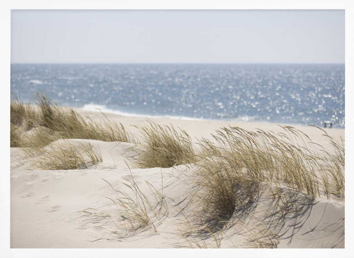 Serene Beach Dunes