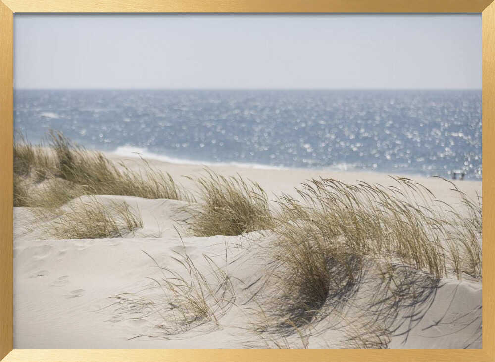 Serene Beach Dunes