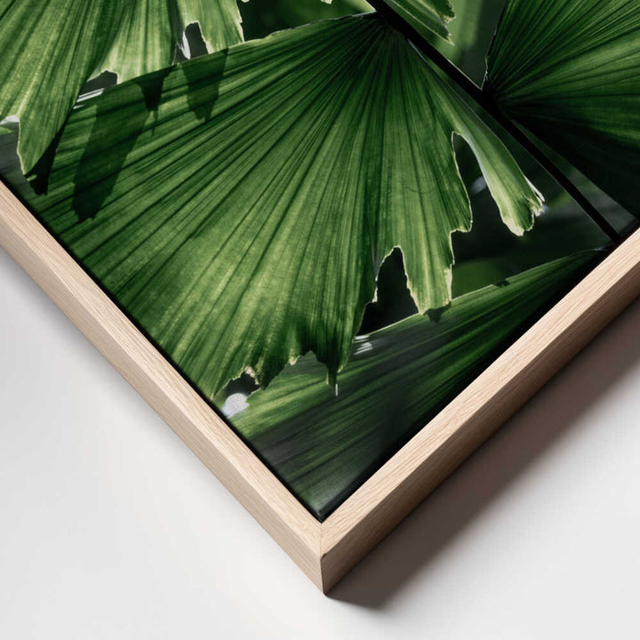 Tropical Green Palm Glow