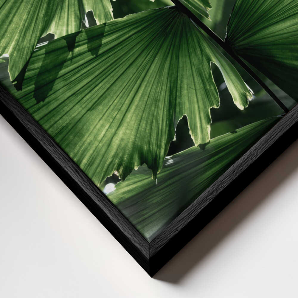 Tropical Green Palm Glow