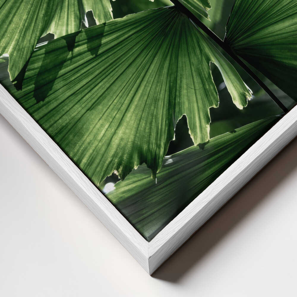 Tropical Green Palm Glow