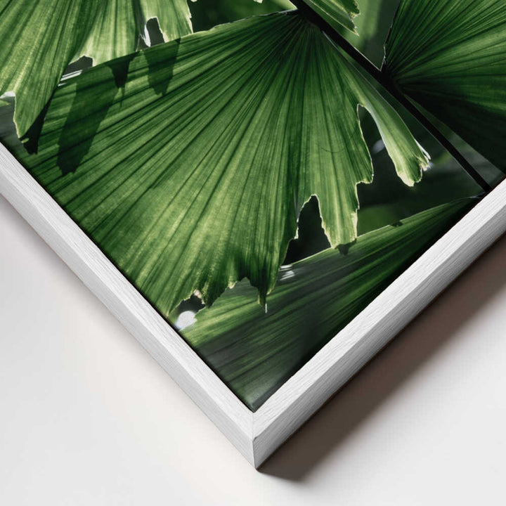 Tropical Green Palm Glow