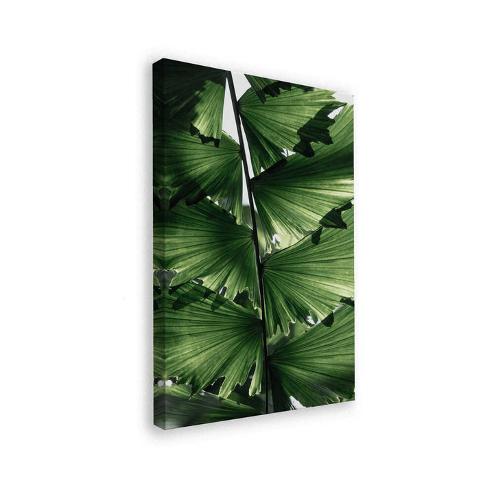 Tropical Green Palm Glow
