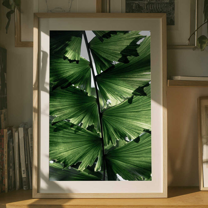 Tropical Green Palm Glow