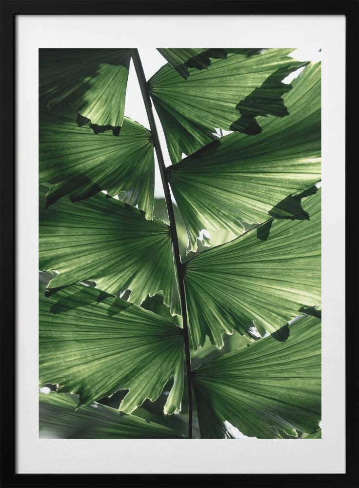 Tropical Green Palm Glow