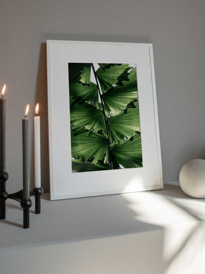 Tropical Green Palm Glow