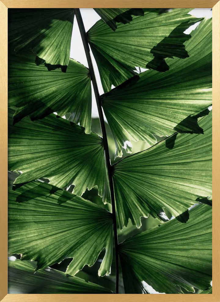 Tropical Green Palm Glow
