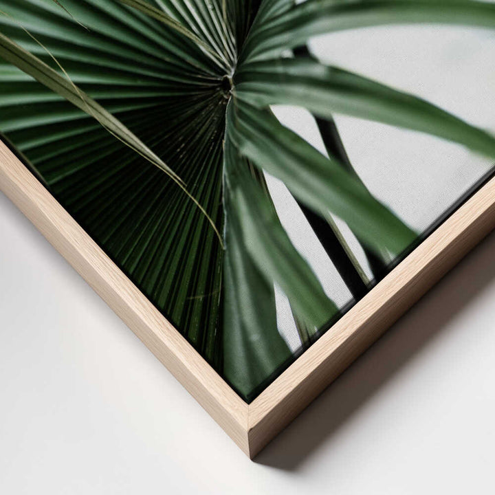 Lush Green Palm Fan