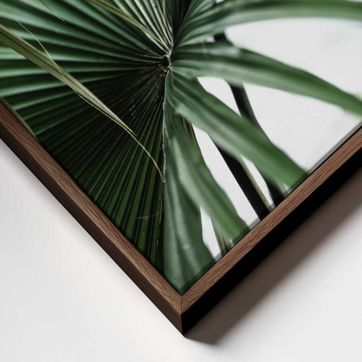 Lush Green Palm Fan