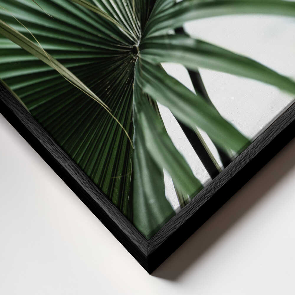 Lush Green Palm Fan