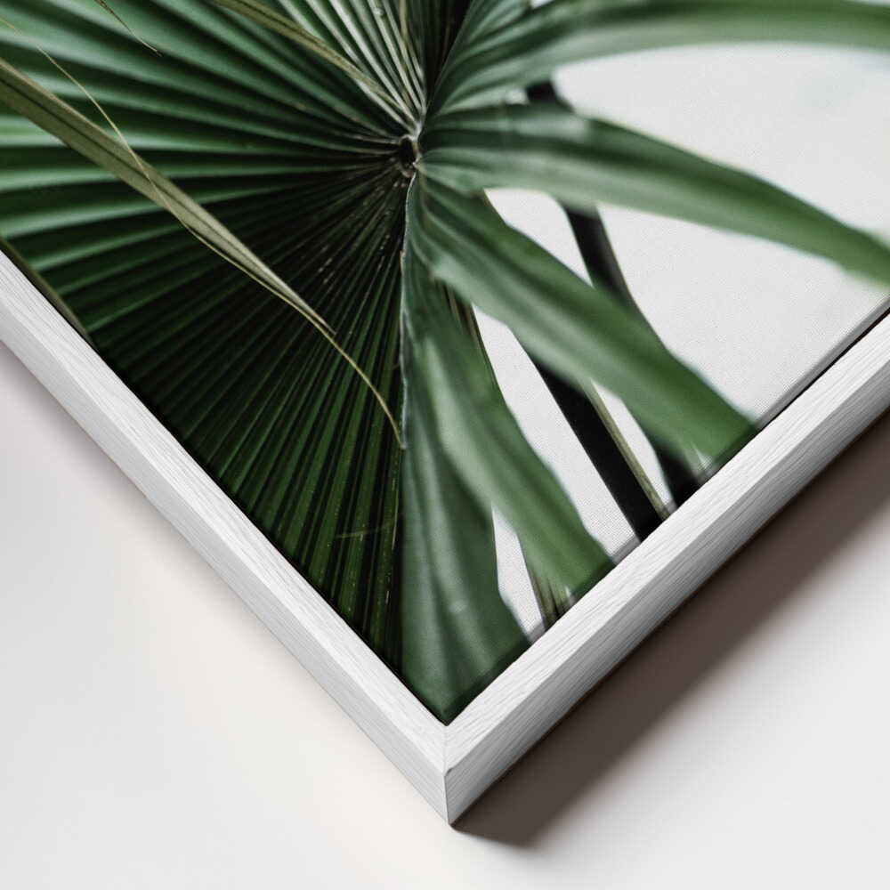 Lush Green Palm Fan