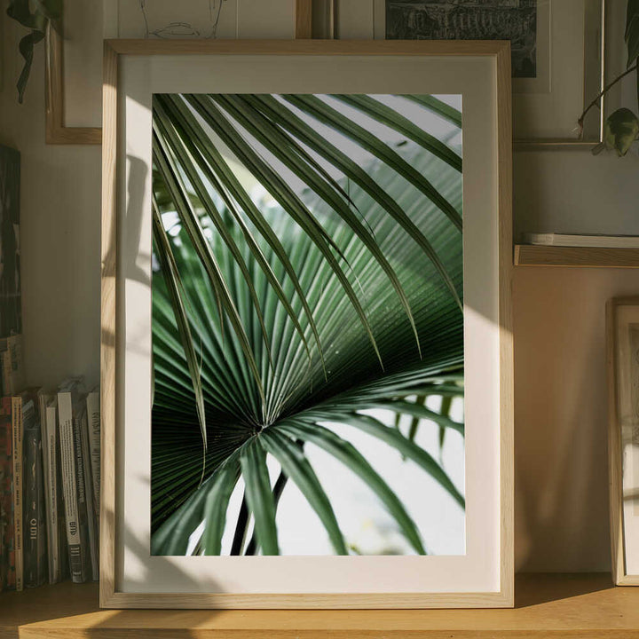 Lush Green Palm Fan