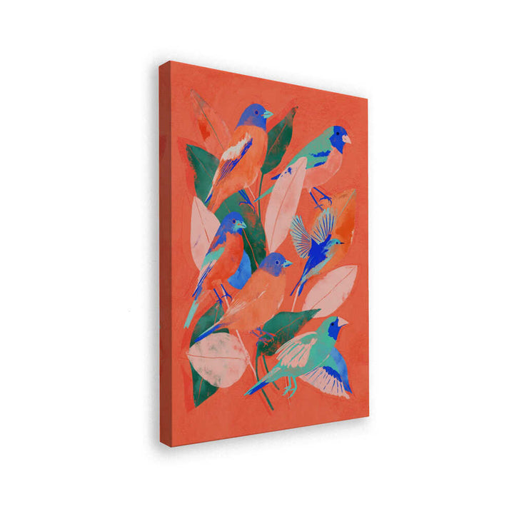 Birdgarden