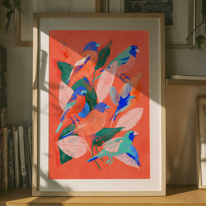 Birdgarden