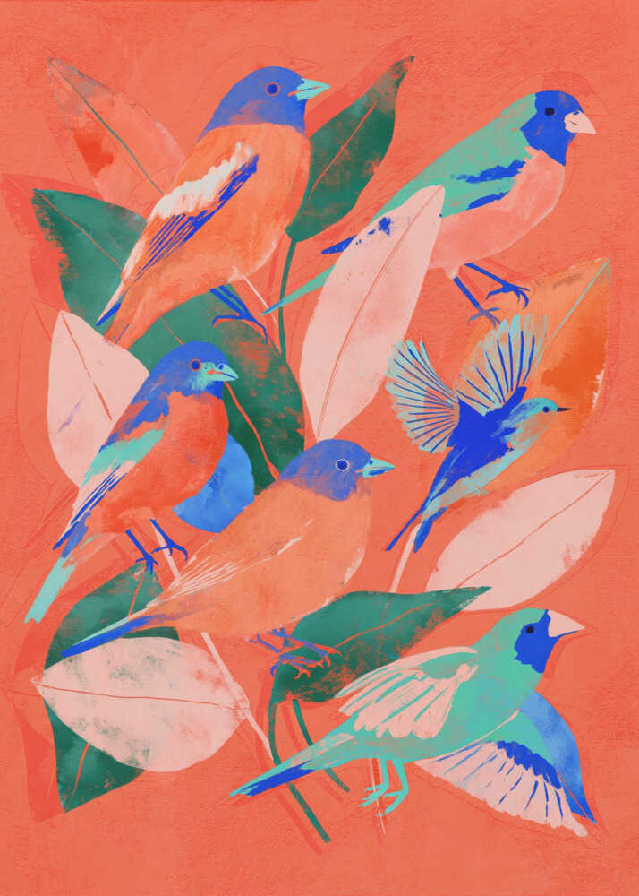 Birdgarden