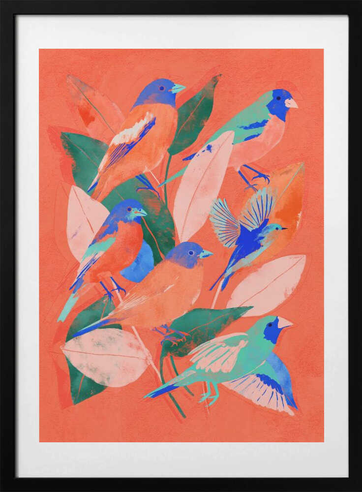 Birdgarden