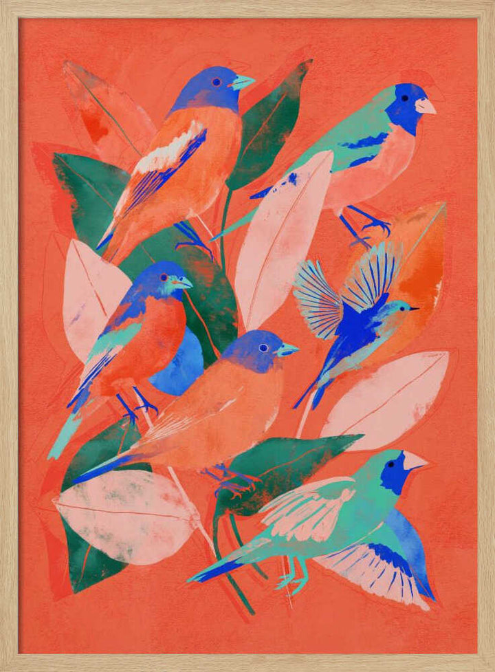 Birdgarden