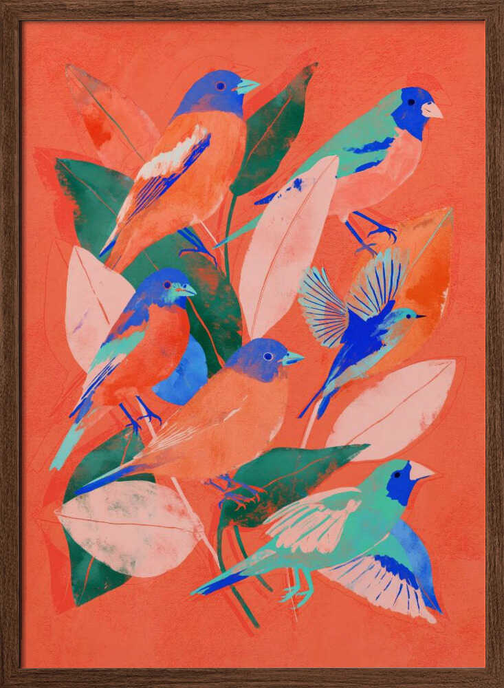 Birdgarden