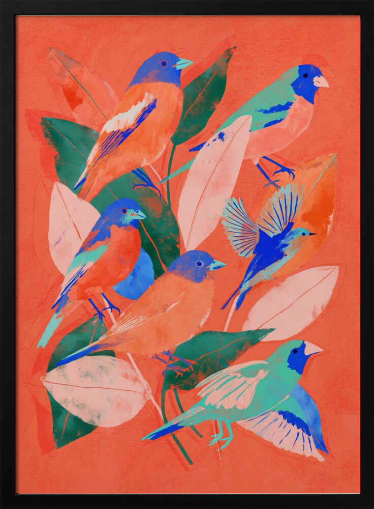 Birdgarden