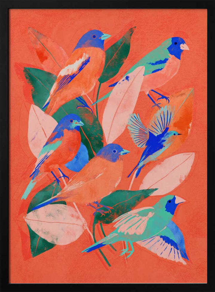 Birdgarden