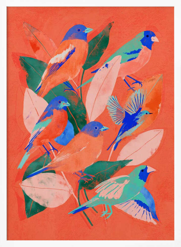 Birdgarden