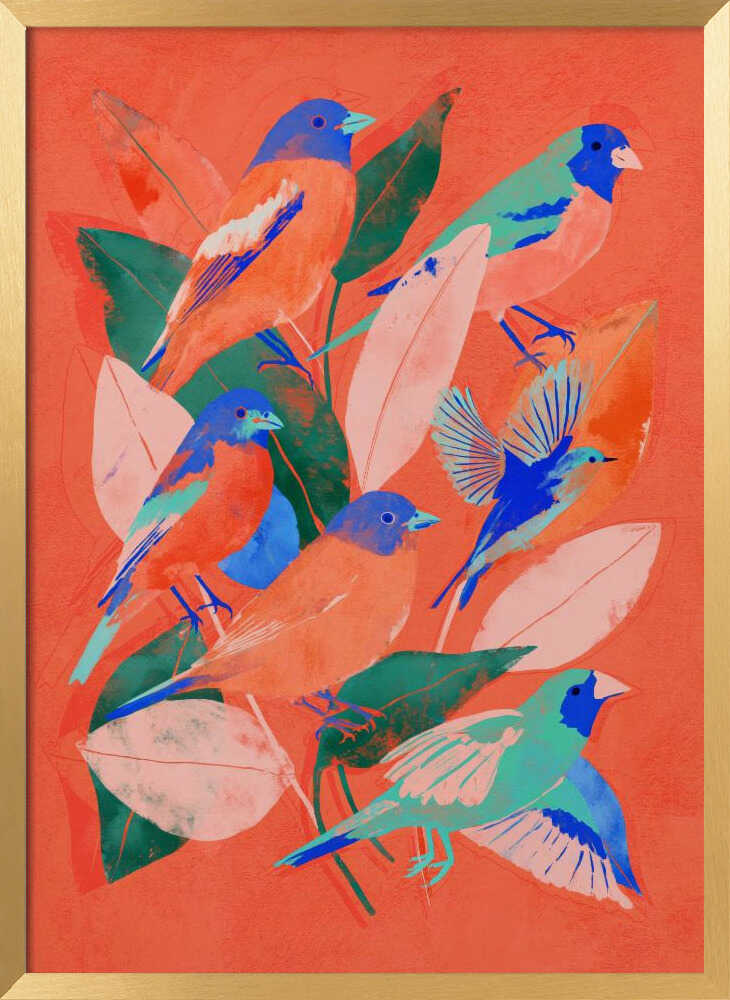 Birdgarden