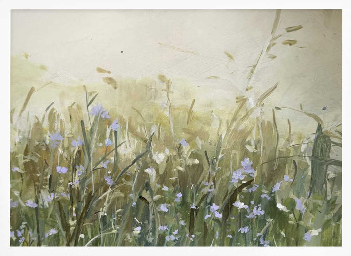 Blue Flowers in Meadow