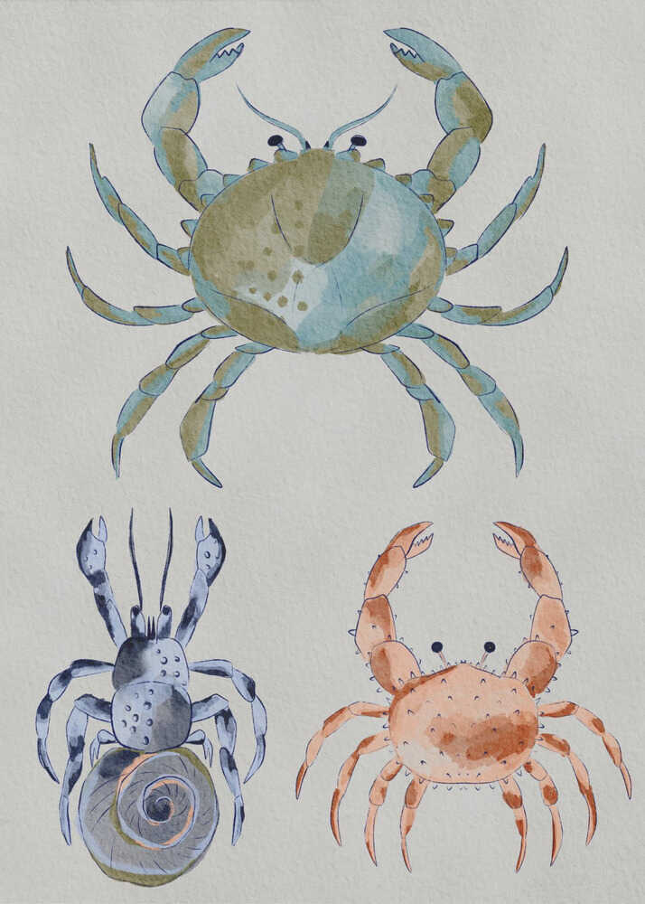 "Ocean Crabs Watercolor" by Nikita Jariwala — Animals Wall Art