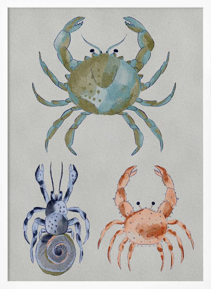 "Ocean Crabs Watercolor" by Nikita Jariwala — Animals Wall Art
