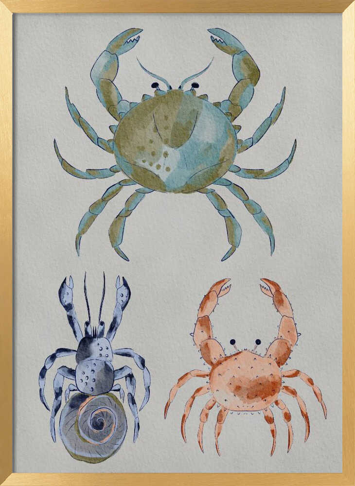 "Ocean Crabs Watercolor" by Nikita Jariwala — Animals Wall Art