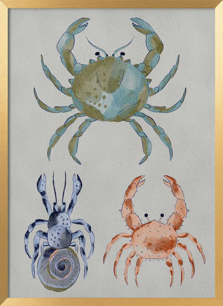 "Ocean Crabs Watercolor" by Nikita Jariwala — Animals Wall Art