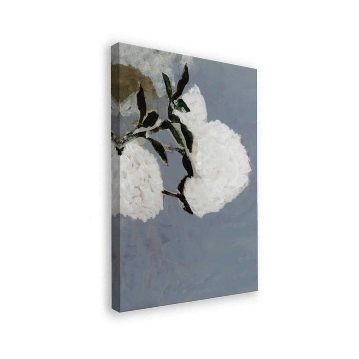 Soft White Blooms